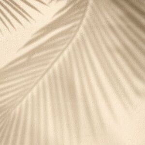 Meet your Posher, Jacky